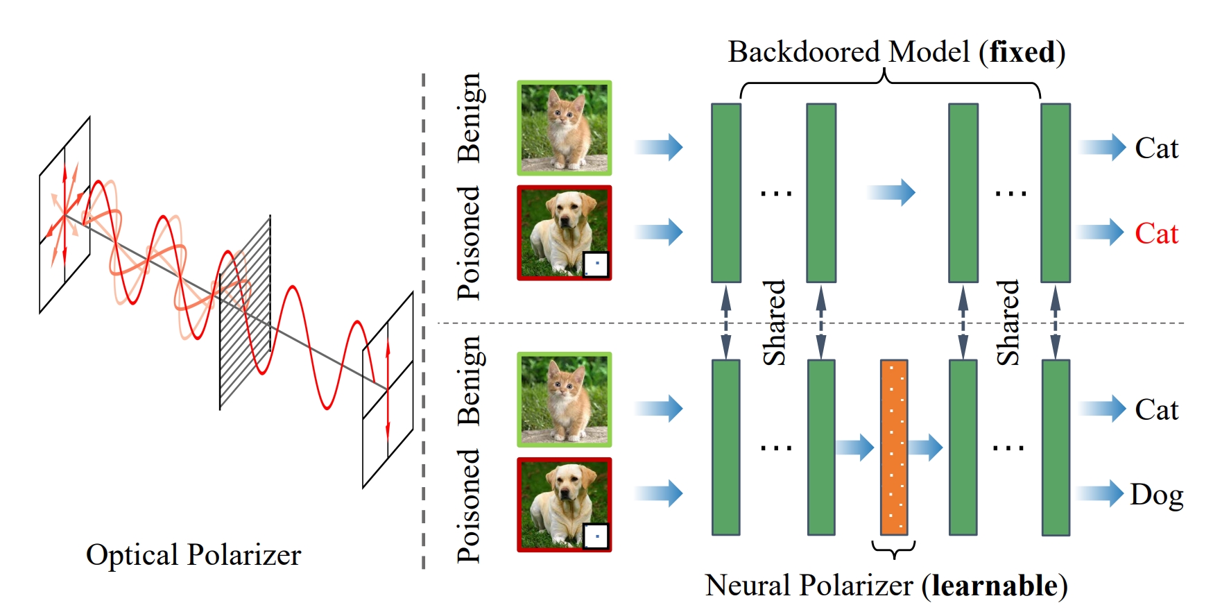 Neural Polarizer: A Lightweight and Effective Backdoor Defense via Purifying Poisoned Features